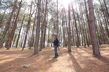 Obraz premium Man stand and Pine forest in Phu Hin Rong Kla National Park, thailand