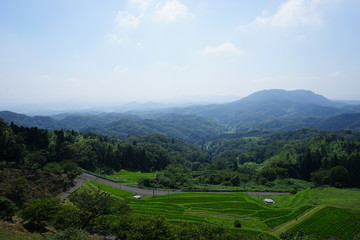 Fototapeta na wymiar Rice terraces and range of mountains