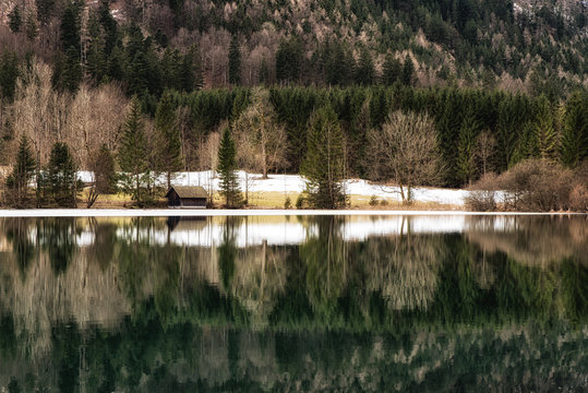 Forest Reflections at Langbathsee