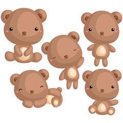 Bear Vector Set