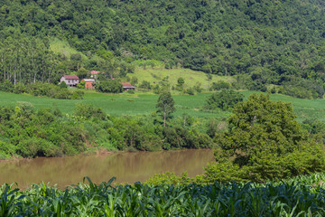 Rural village and farm