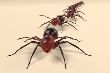 realistic 3d render of ants walking