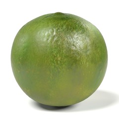 realistic 3d render of lime on white backround