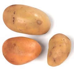 realistic 3d render of potatoes