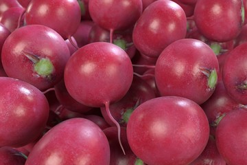 realistic 3d render of radishes