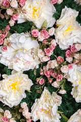 Artificial flower wall in studio photo. Beauty concept. Wallpaper background