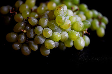 Beautiful fresh bunch of grapes on a dark wooden background. The droplets of water.Healthy eating