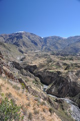 Fototapeta premium Peru - Aréquipa - Canyon Colca