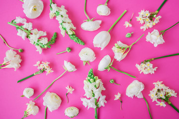 Flowers pattern texture. Floral pattern made of white flowers on pink background. Flat lay, top view. Floral background.