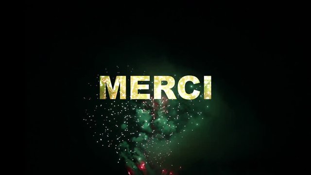 Thank you fireworks reveal in 29 languages