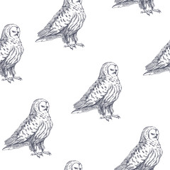 Vector seamless pattern with cute owl. Hand drawn illustration with wild birds