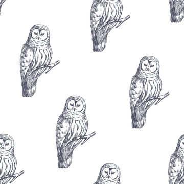 Vector seamless pattern with cute owl. Hand drawn illustration with wild birds