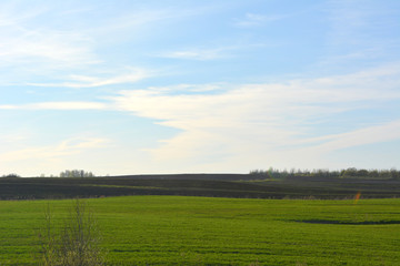 Beautiful spring horizontal landscape: field on blue sky background
