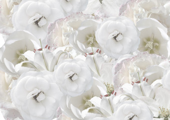 Tinted floral background with white flowers - Powered by Adobe