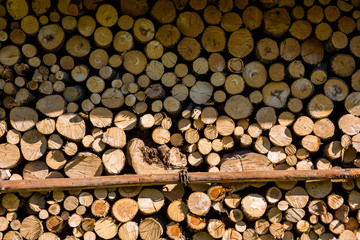 Big pile of logs as background.