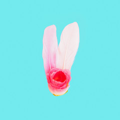 Feathers and rose. Gentle care. Minimal art