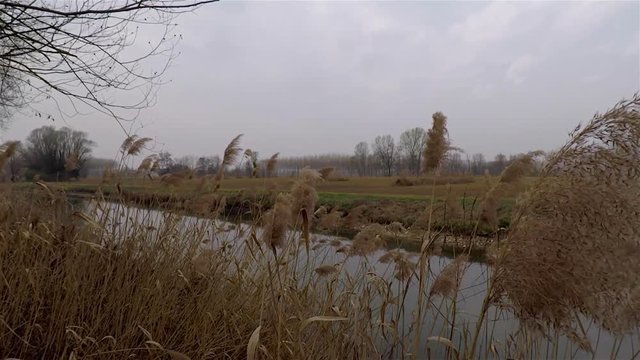 Paesaggio di campagna