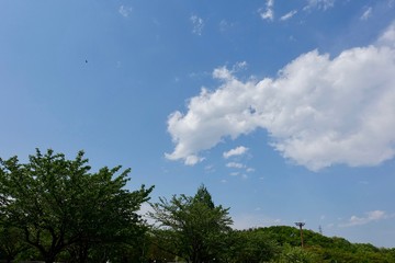 青空