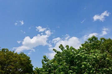 青空
