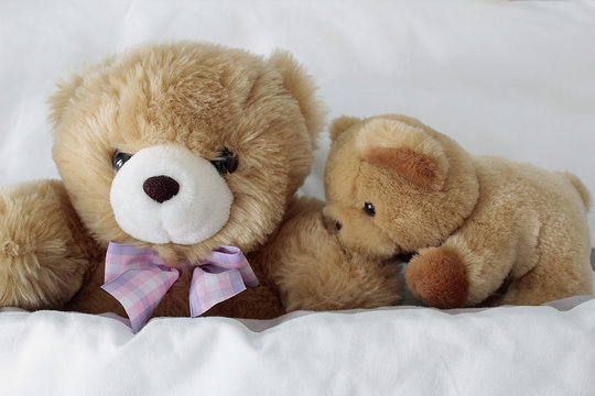 Orsetti peluche cheap