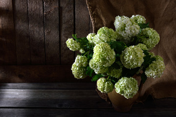 still life with white flowers In the vase with beautiful sun