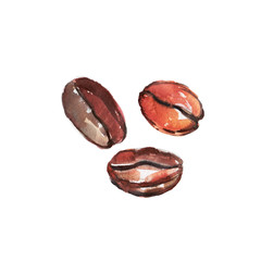 The coffee beans on white background, watercolor illustration in hand-drawn style.