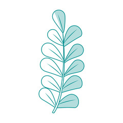 blue silhouette image spring branch with ovals leaves vector illustration