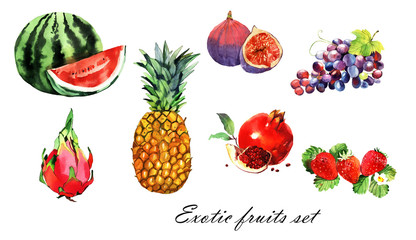 watercolor exotic fruits set, pineapple, pomegranate, watermelon, dragon eye