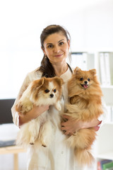 Happy vet with dogs