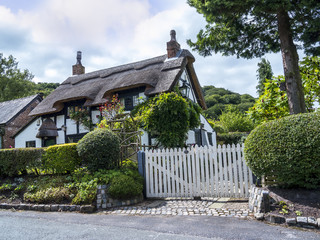 Black and White Thatched Cottage in the Cheshire Countryside near Alderley Edge England. 