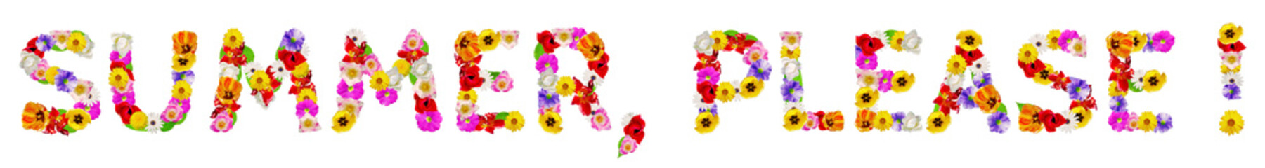 Text 'Summer, please!' made of flower photographs on white background - banner format - high...