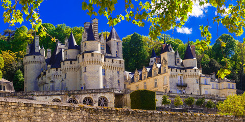 magnifique château d& 39 Usse - célèbres châteaux de la vallée de la Loure, France