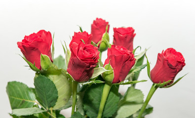 Beautiful bouquet of red roses full of love