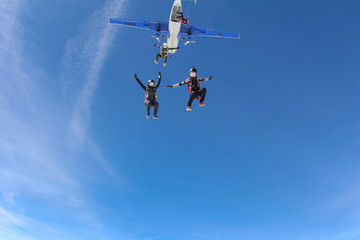 Cool skydivers in the sky