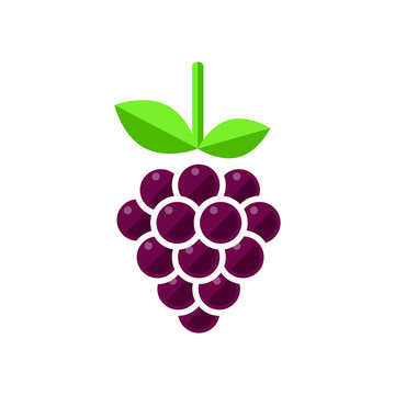 cartoon grapes vector