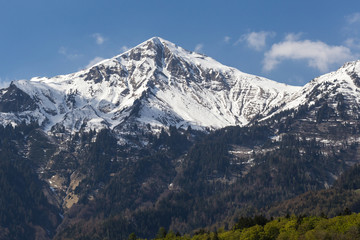 Alpenfrische in den Alpn