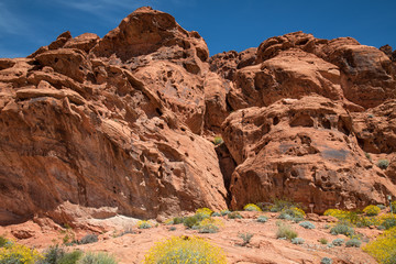 Fototapeta premium Valley of Fire