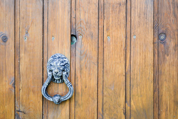 Wooden door with a handle made in the form of a lion