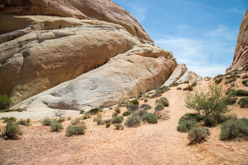 Valley of Fire