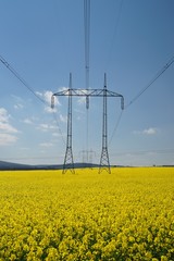 Yellow rape field and High-voltage power lines. Blue sky with clouds.