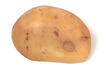 realistic 3d render of potato