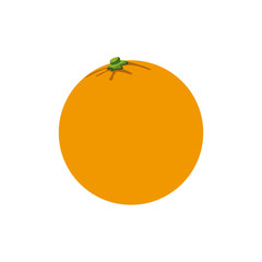orange fruit tropical food image vector illustration