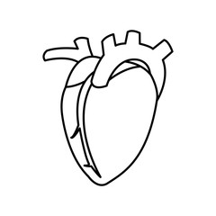 heart human organ healthy line vector illustration