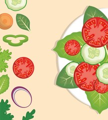 dish with salad and vegetables around over white background. colorful design. vector illustration
