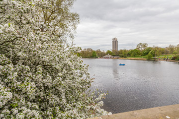 Lake in the center of St James's Park in London