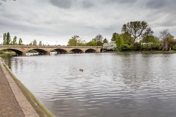 Fototapeta na wymiar Lake in the center of St James's Park in London