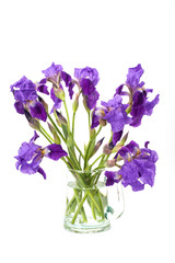 Still life with irises