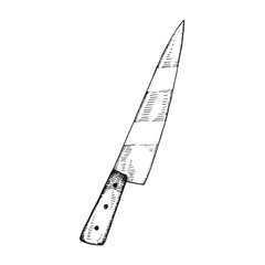 Kitchen knife sketch vector