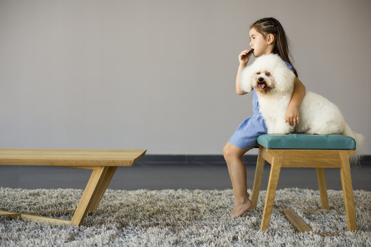 Little girl playing with white poodle in the room
