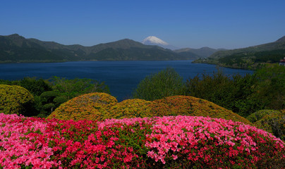 Les fleurs de printemps et le mont. Fuji de Onshi Hakone Park